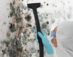 Best Mold Remediation for Healthcare Facilities  in Cedar Hill, MO